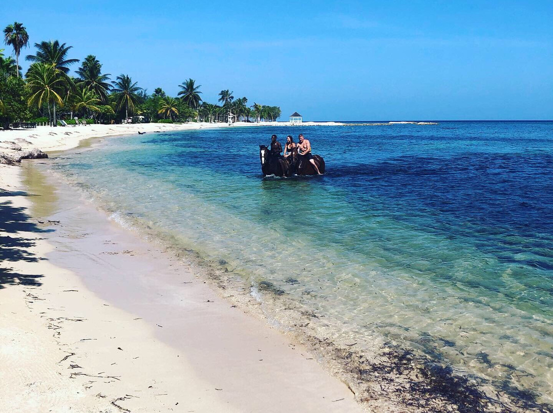 Half Moon Equestrian Center-蒙特戈贝必去景点