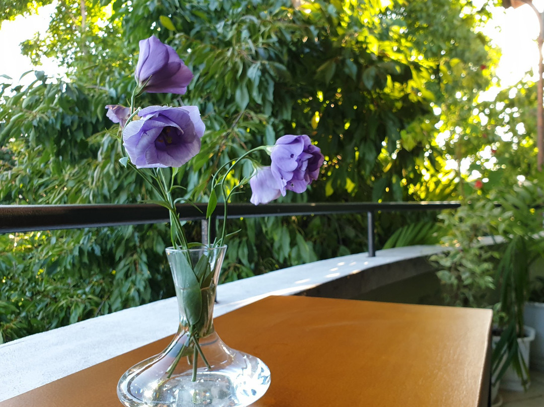 Family Hotel Sonata主图