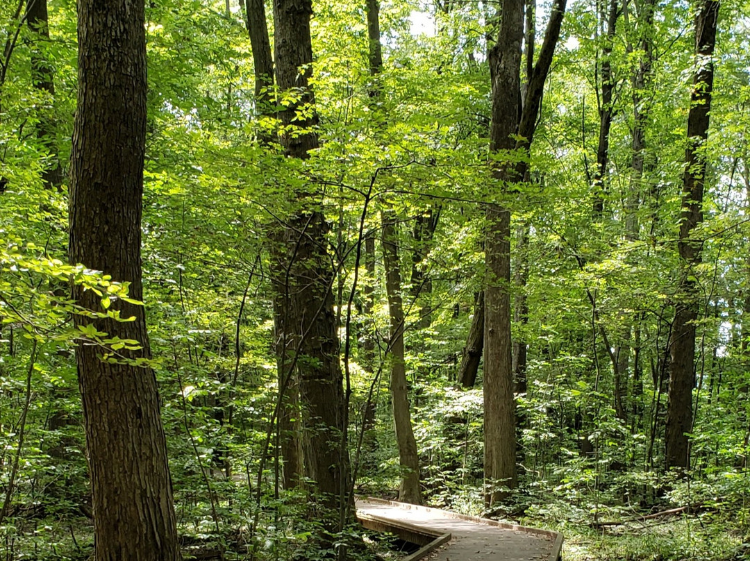 Kopegaron Woods Conservation Area景点图片