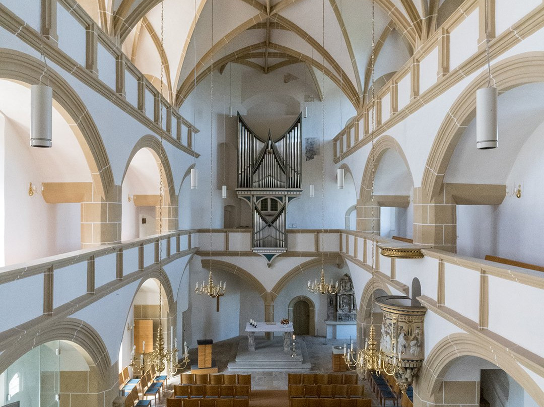 Schlosskirche Torgau景点图片