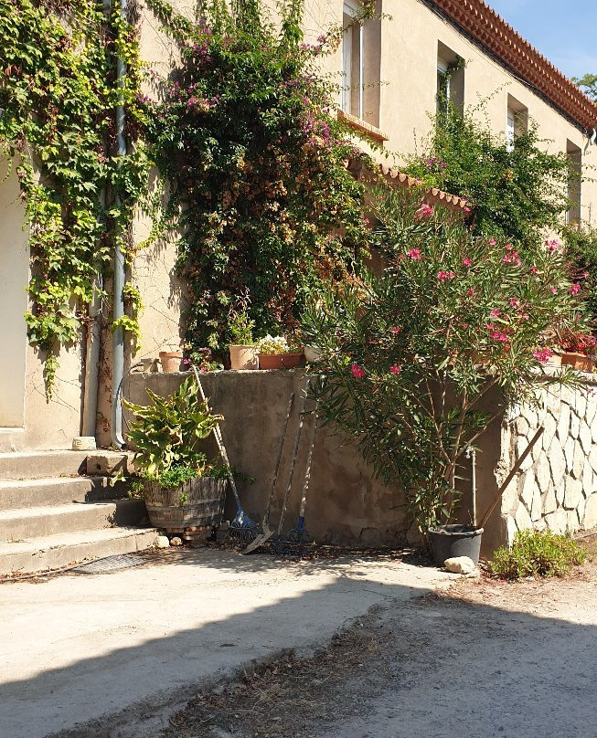 Domaine Les Yeuses-Meze必去景点