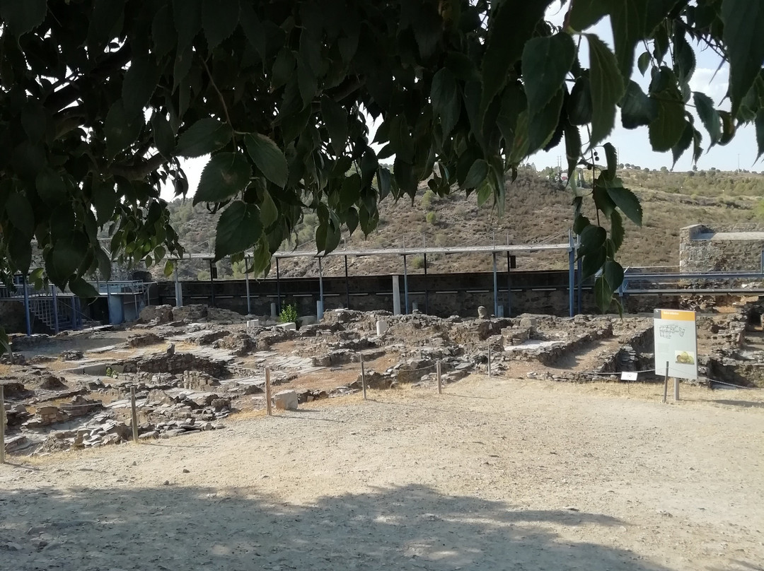 Museu de Arqueologia de Mértola - Campo Arqueológico景点图片