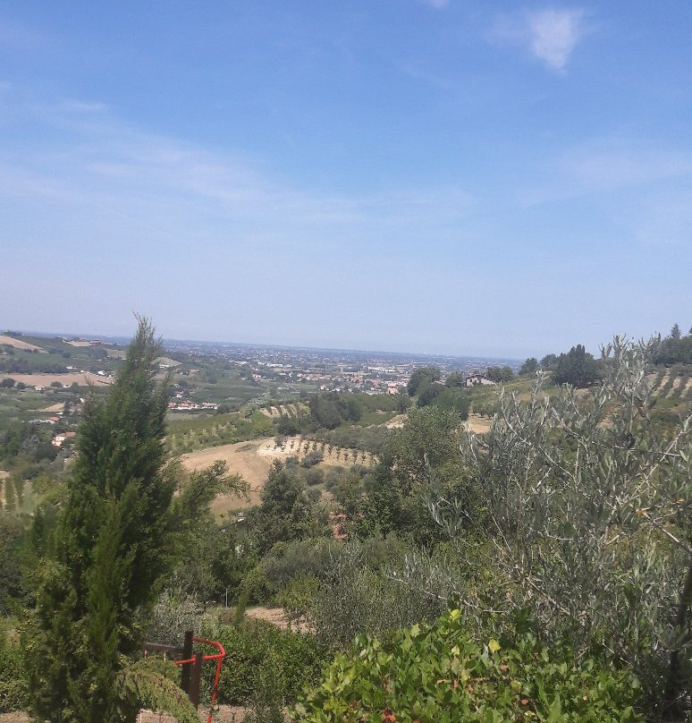 Apollinare