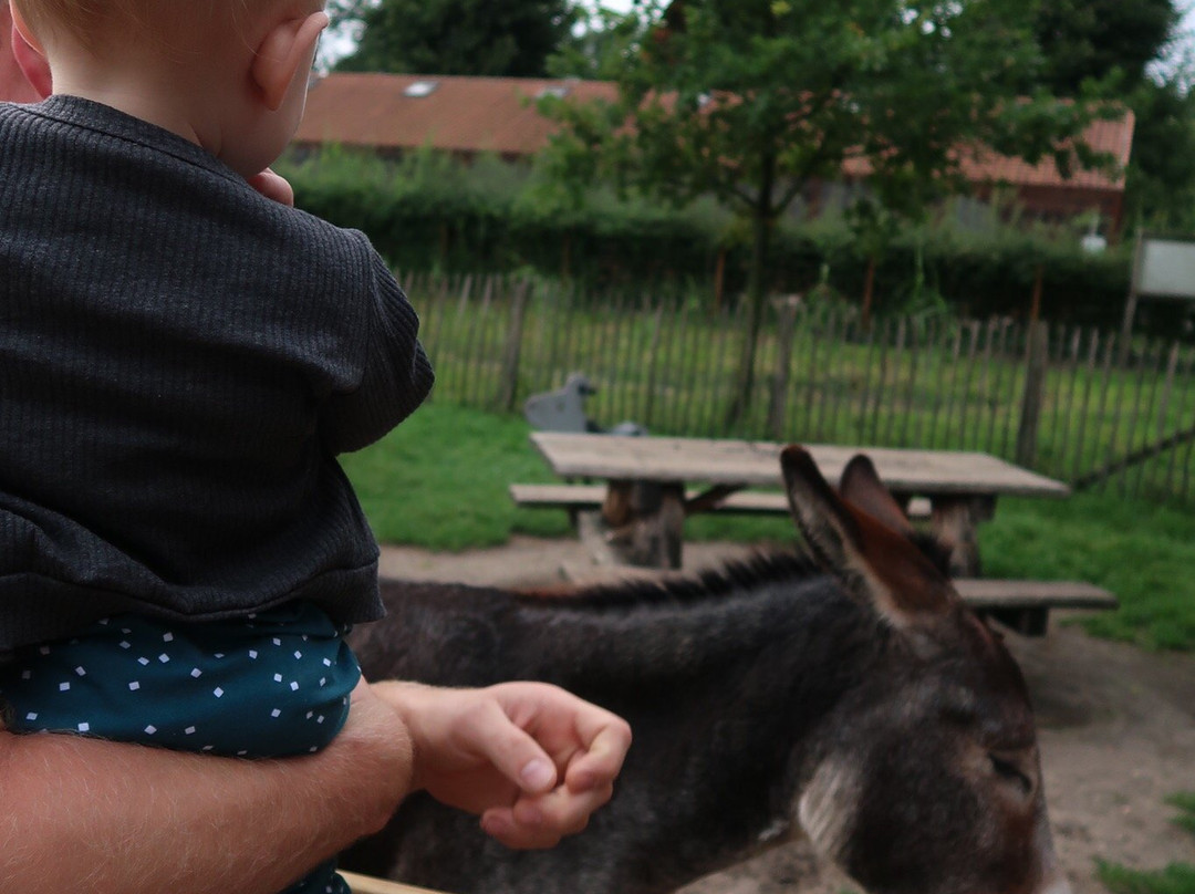 Kinderboerderij Pietersheim景点图片