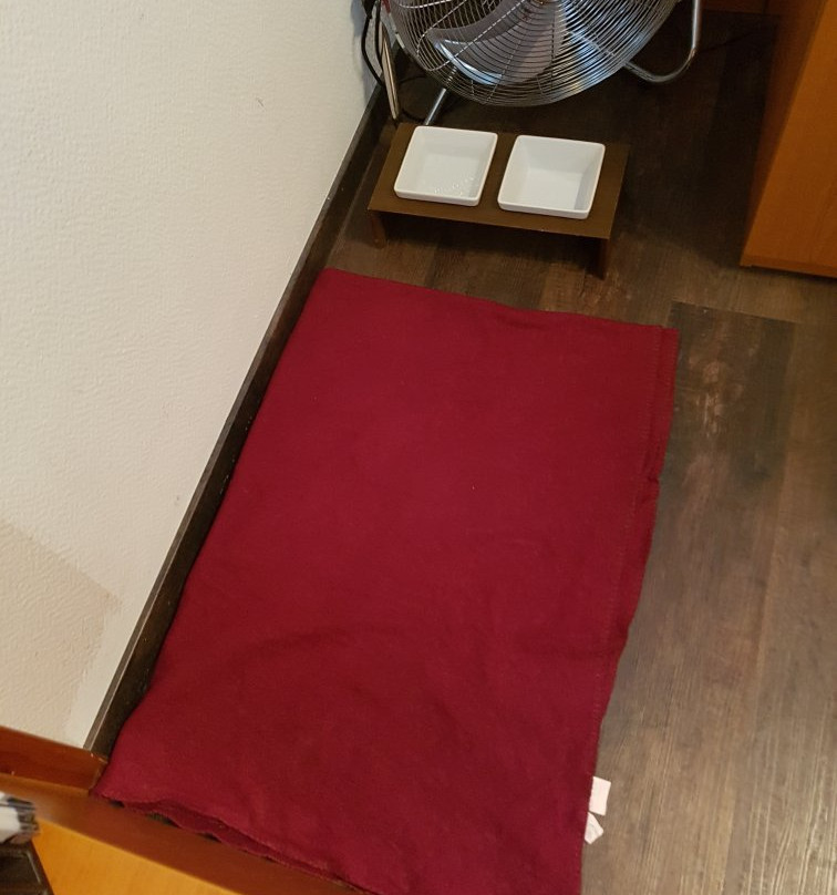 巴伐利亚霍夫酒店主图