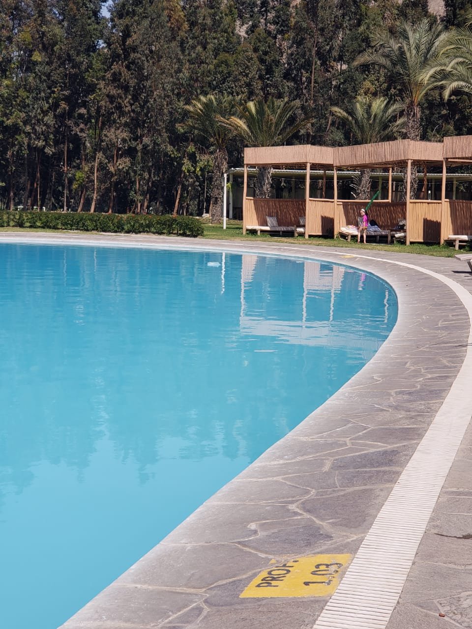 Guizado Portillo Hacienda & Resort-泳池