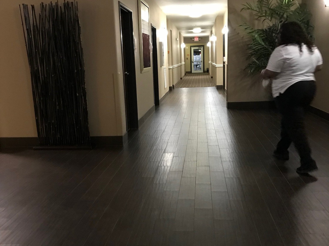 Comfort Inn & Suites Scott-West Lafayette主图