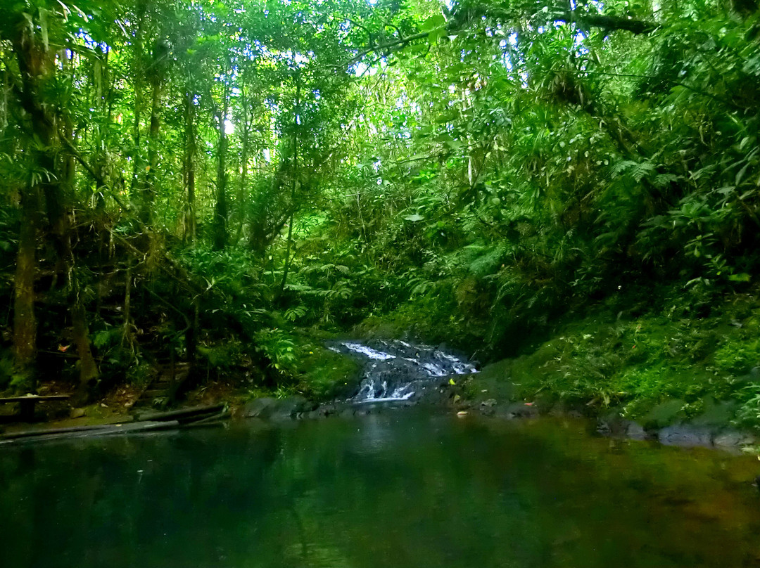 Kay Services Tour-Nausori必去景点