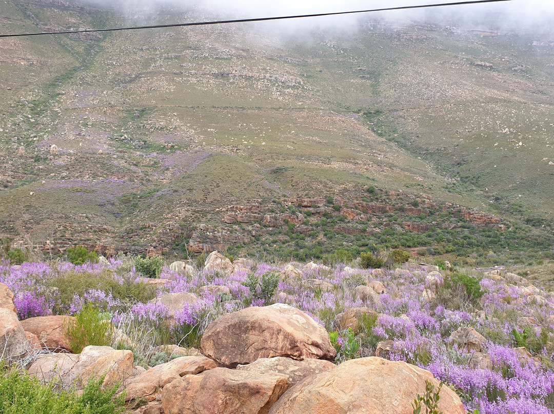 African Invite-斯泰伦博斯必去景点