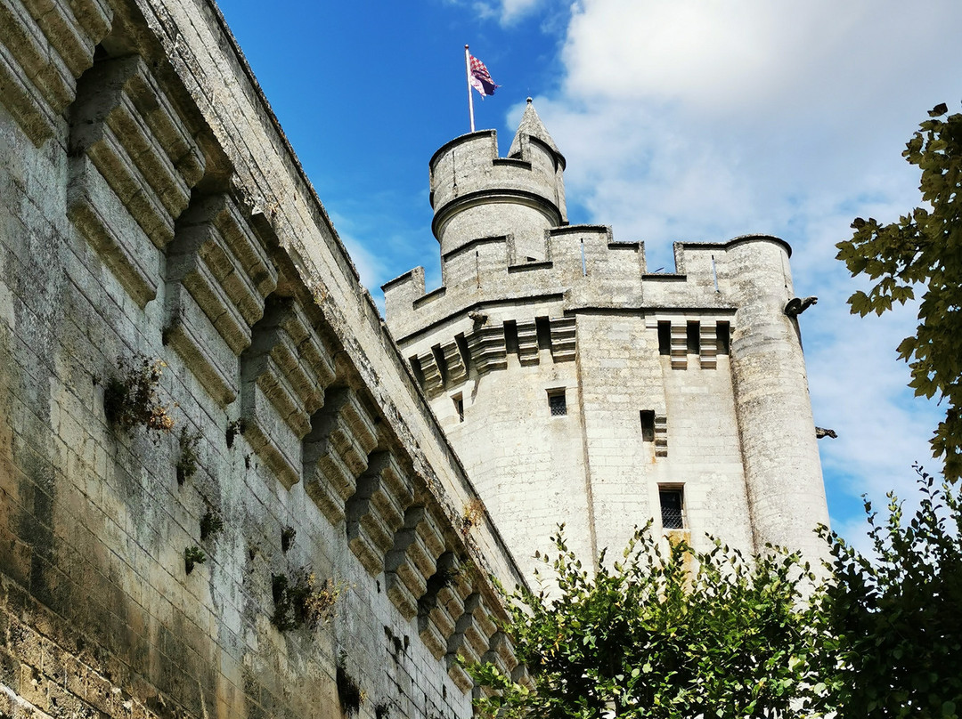 Donjon de Vez-Vez必去景点