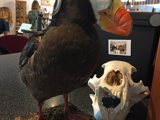 Kodiak National Wildlife Refuge Visitor Center-Kodiak必去景点