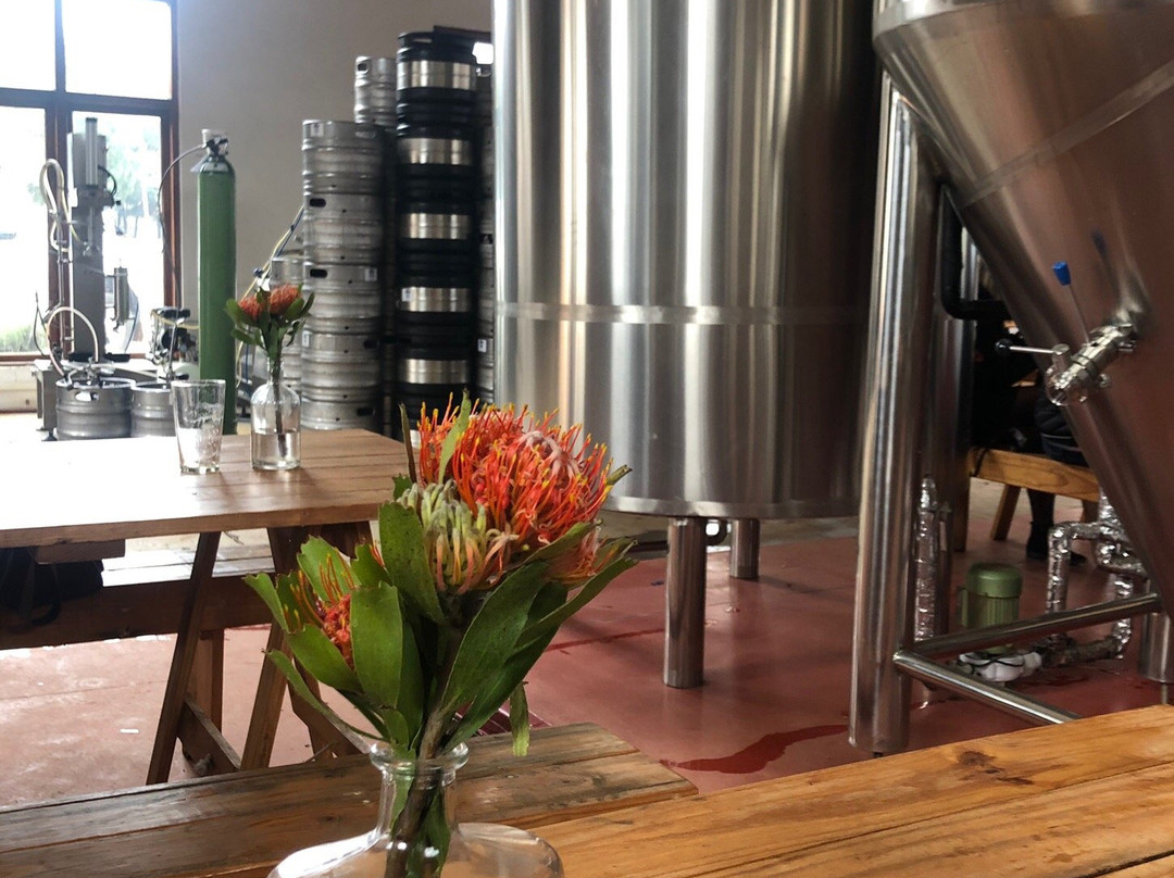 Zwakala Brewery-海纳茨堡必去景点