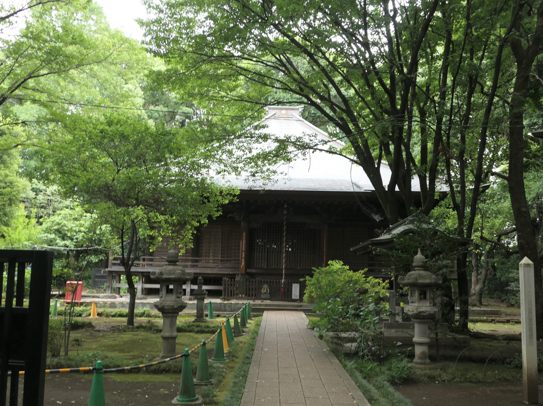 Kokubunji Yakushido景点图片