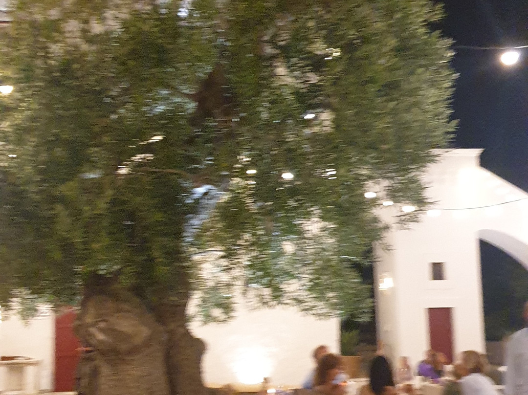 马西利亚托瑞可卡罗酒店主图