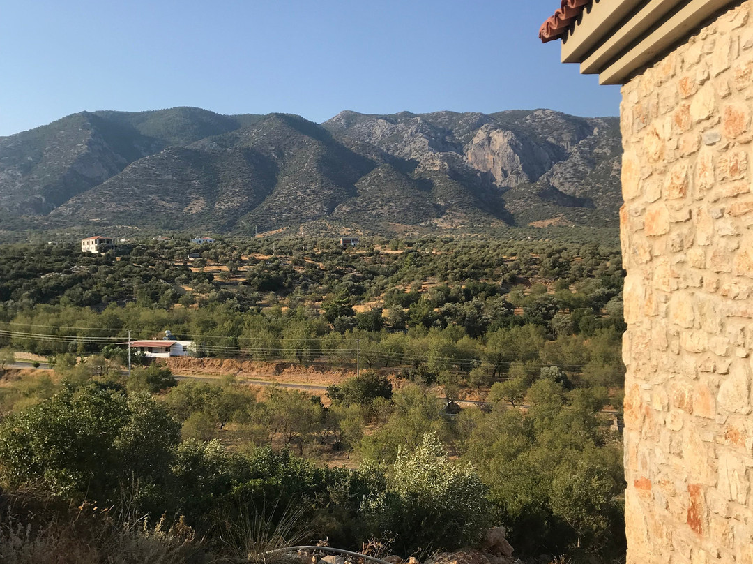 Karia Hotel Palamutbuku主图