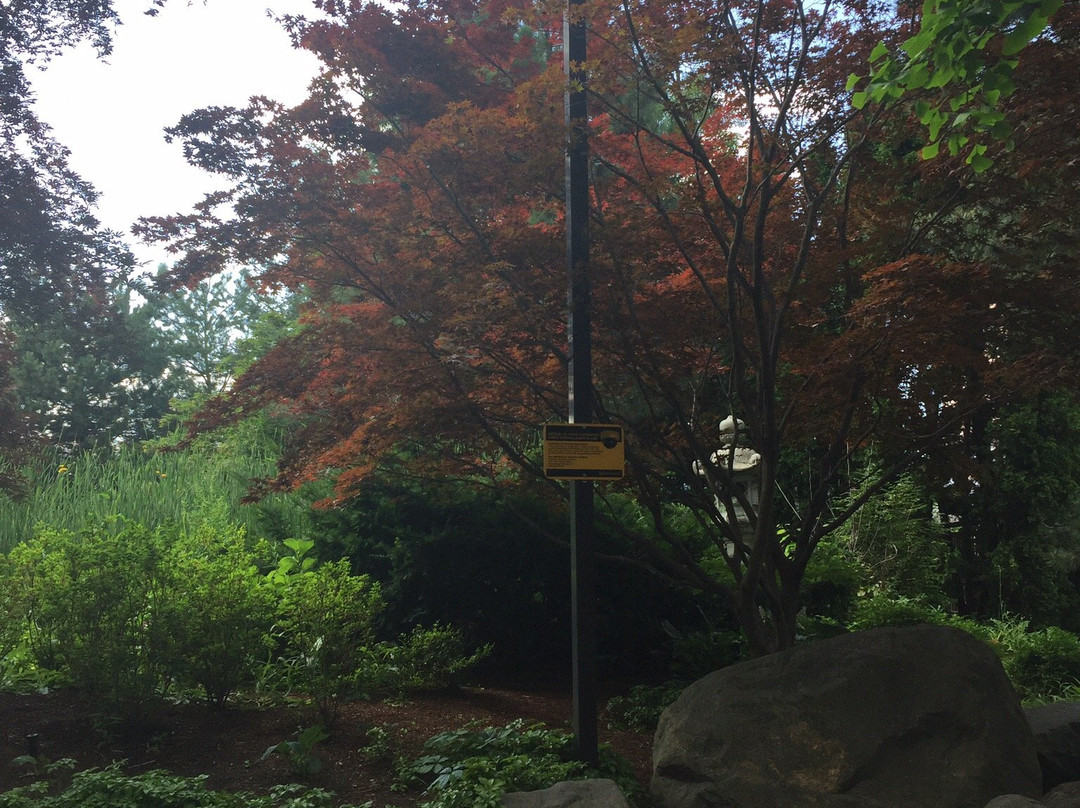 Kariya Park-米西索加必去景点