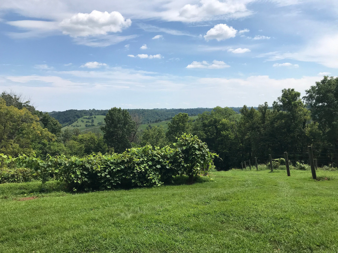 First Vineyard-Nicholasville必去景点