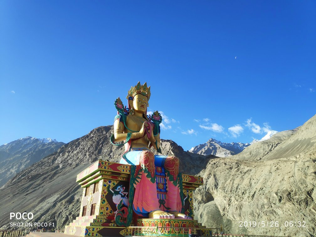 Black Sheep Motto Adventures景点图片