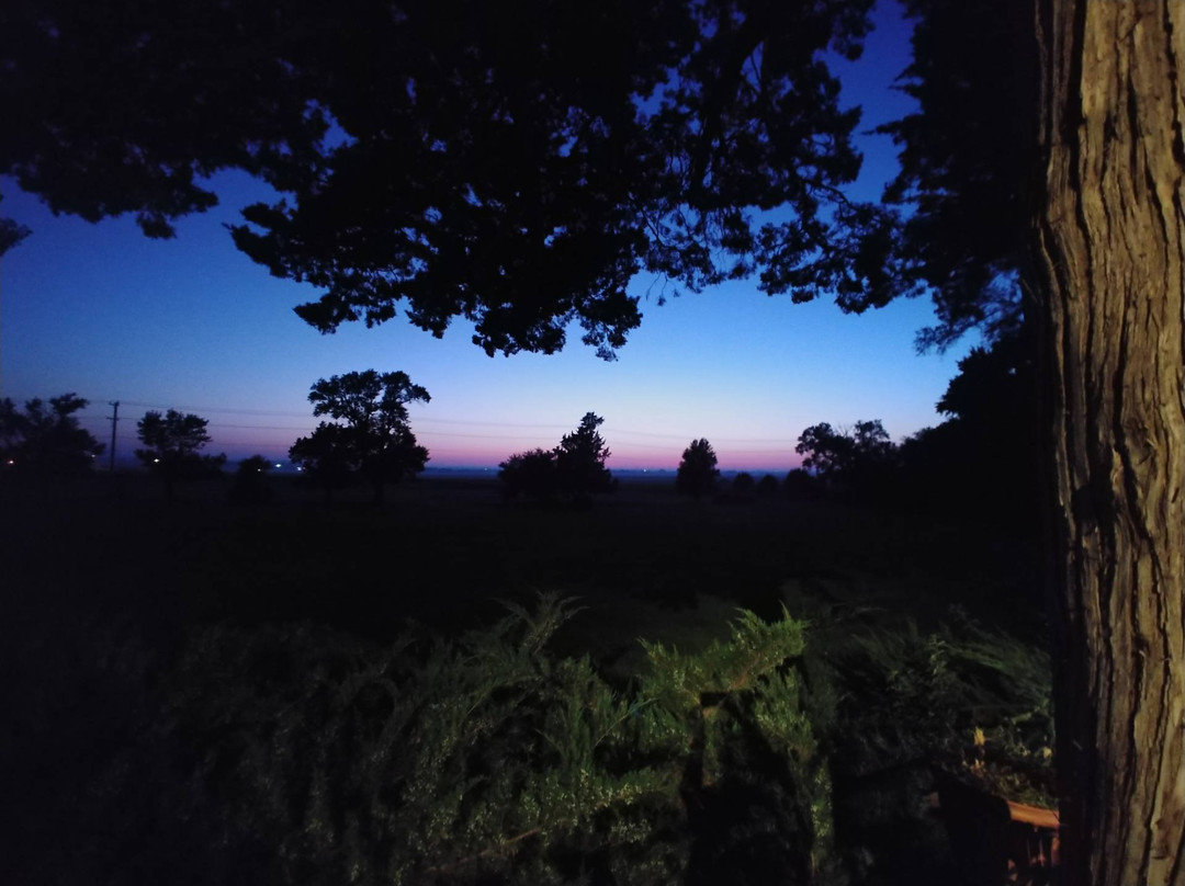 Westview Bed & Breakfast主图