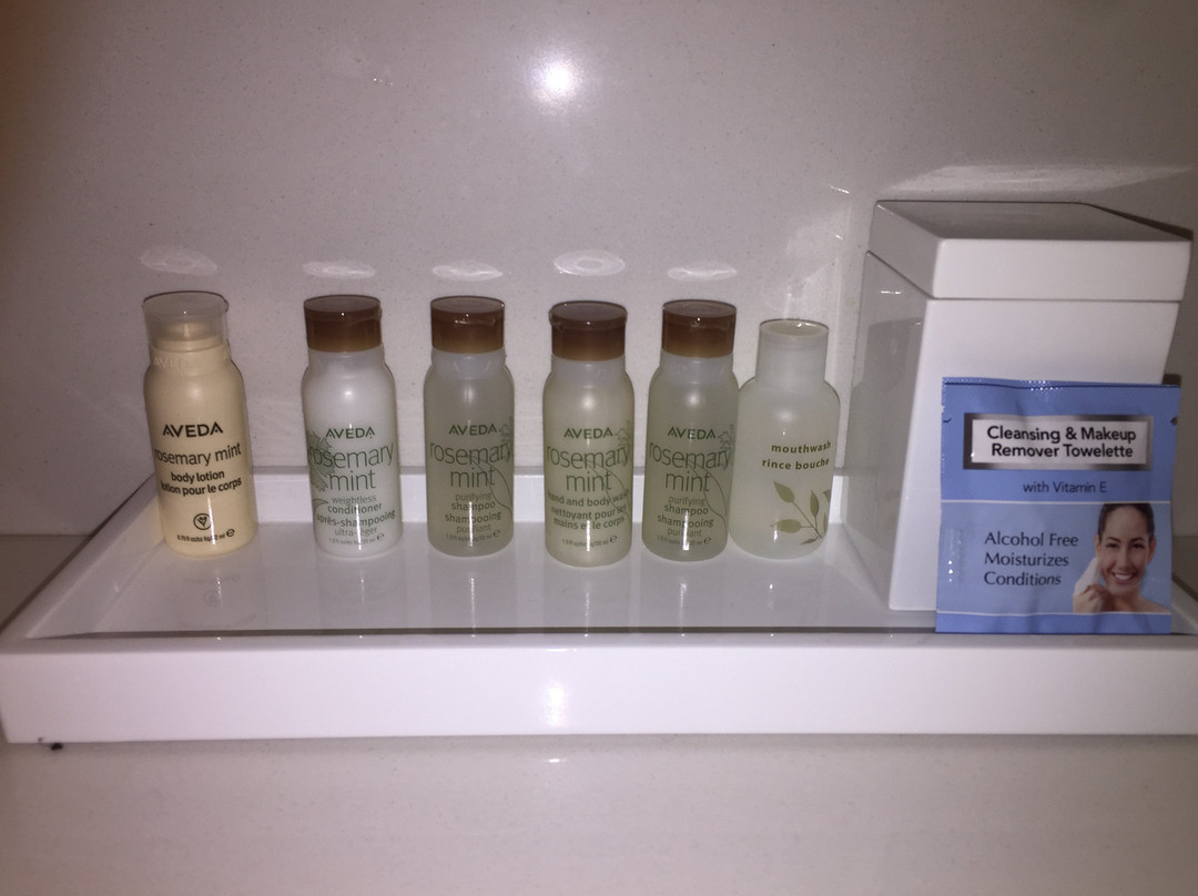 Renaissance Albany Hotel主图