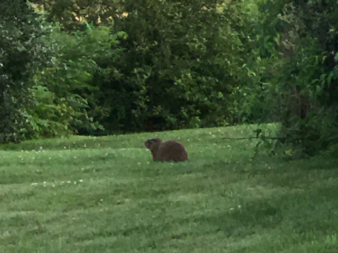 Glen Cove Inn And Suites主图