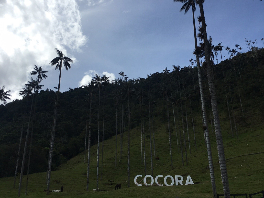 Dulima Tour Travel-萨伦托必去景点