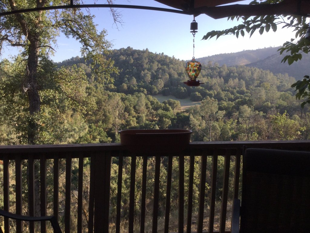 优胜美地酒店-官方