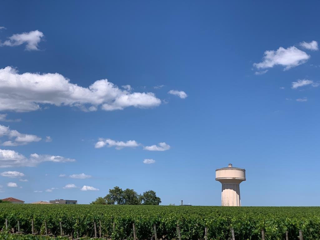 Château Haut-Brion景点图片