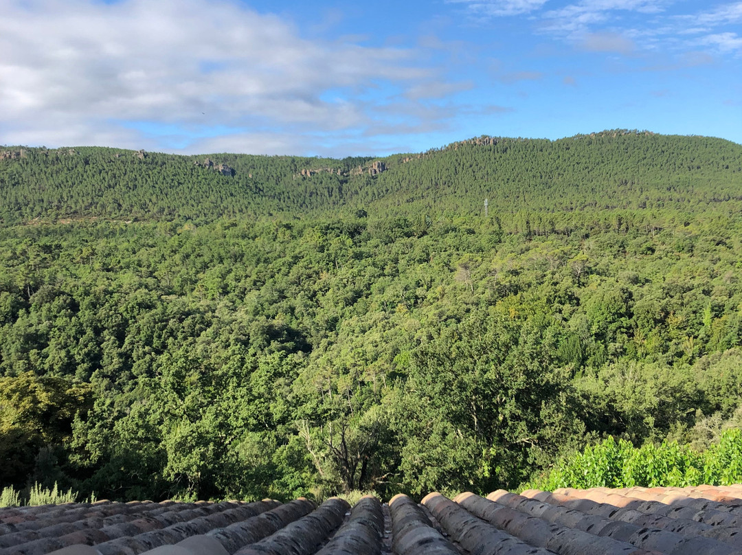 Au Relais Provencal主图