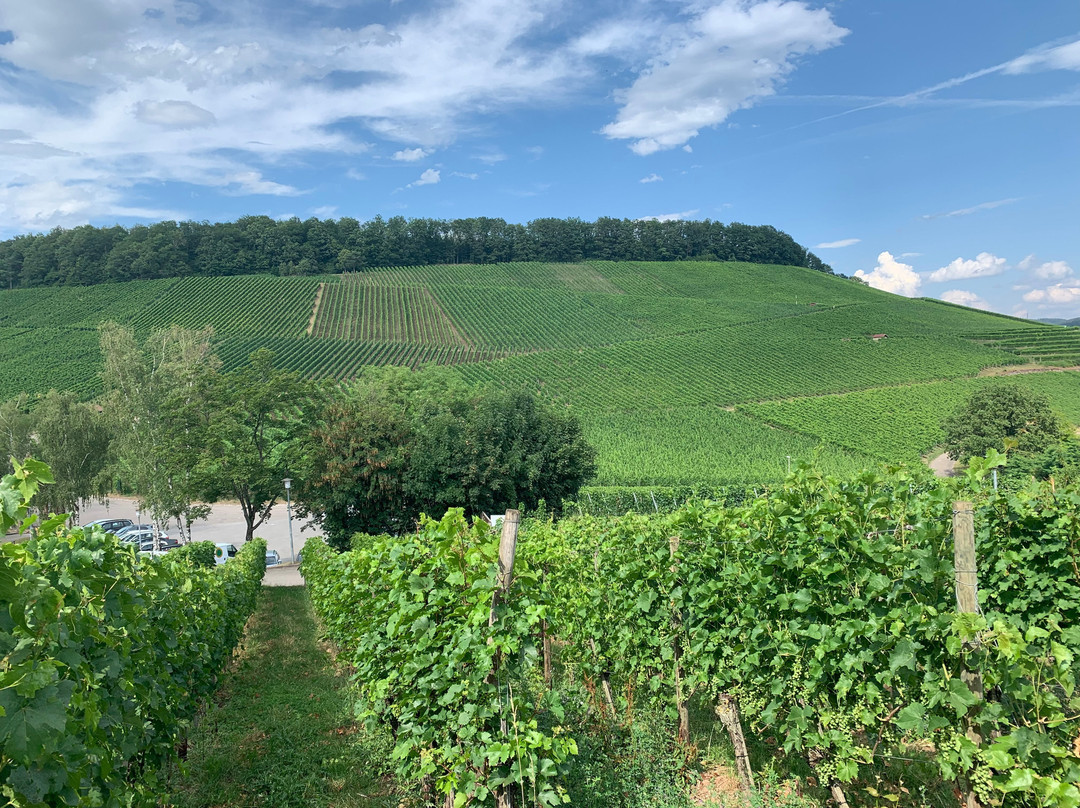 Burg Hohenbeilstein景点图片