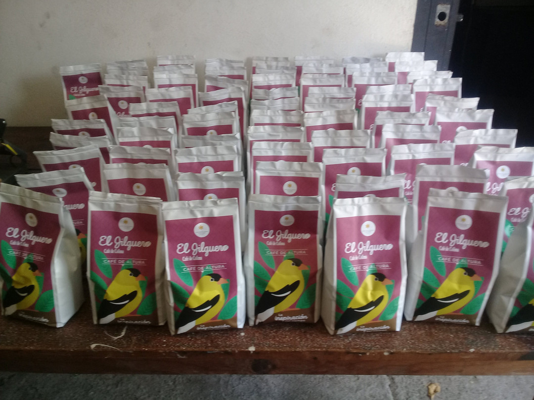 Corazon de Colima Tours-Colima必去景点