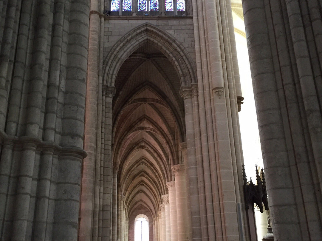 Cathédrale Saint-Étienne de Châlons景点图片