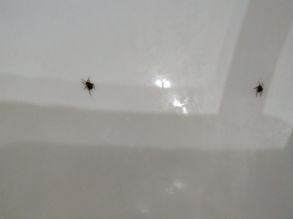 Hotel La Parra主图