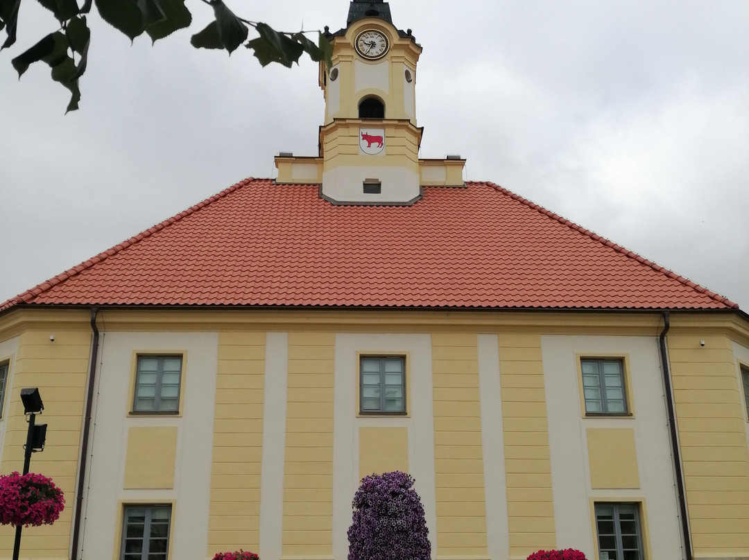 Museum in Bielsk Podlaski景点图片