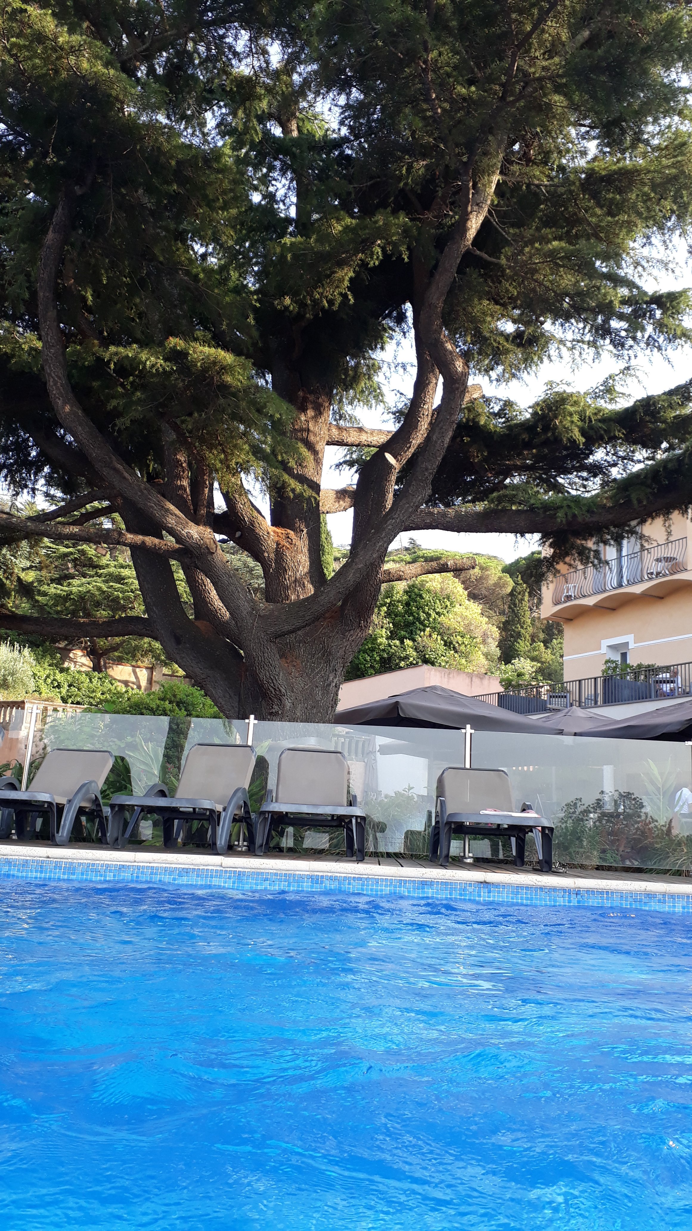 Hotel Les Jardins du Cedre-portrait