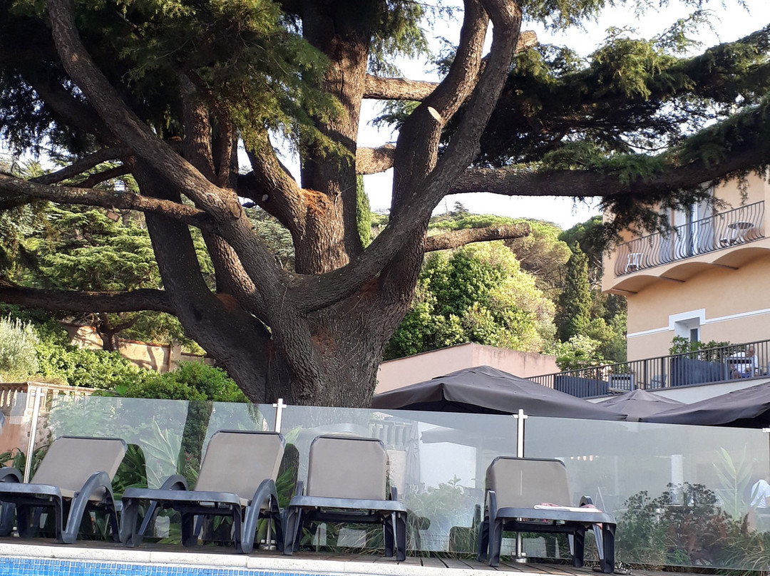 Hotel Les Jardins du Cedre主图