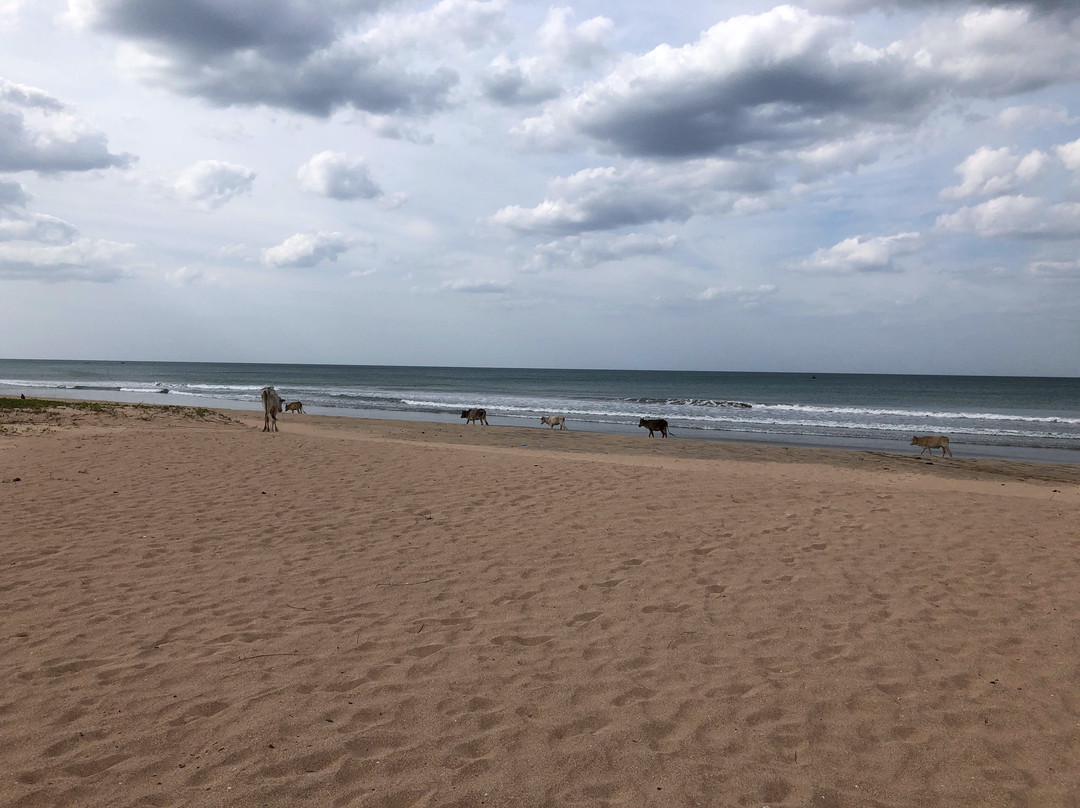 纳艮那拉海滩别墅主图