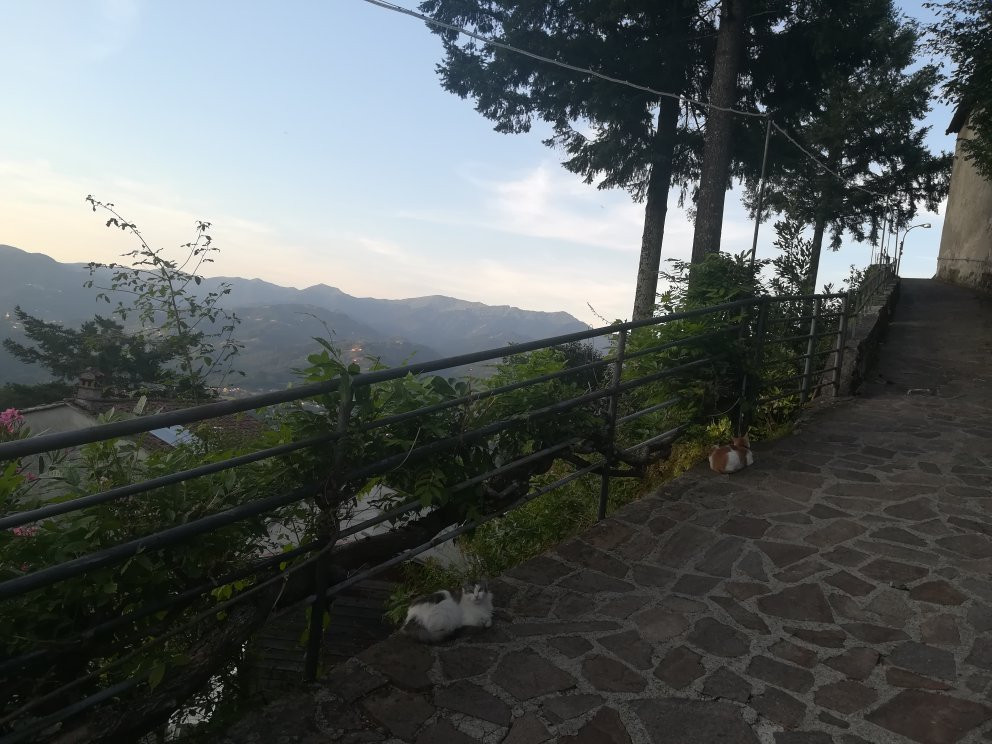 Chiesa di San Genesio景点图片