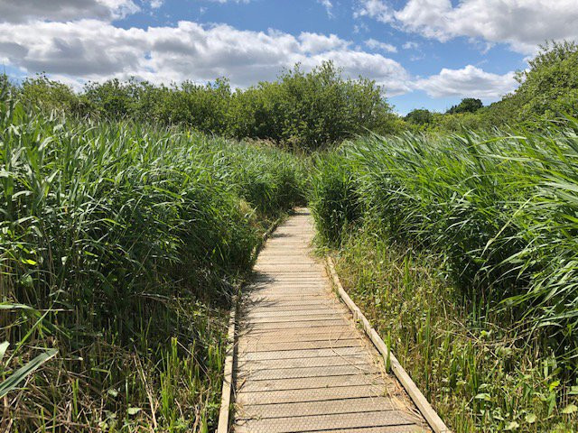 Norfolk Wildlife Trust - Broadland Conservation Centre景点图片