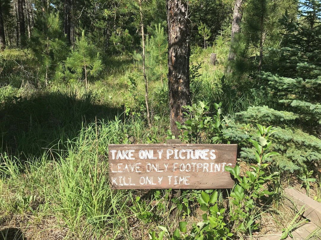Sandilands Forest Discovery Centre-Hadashville必去景点