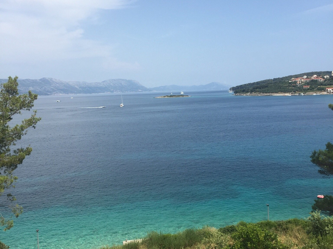 Guest House Bebic主图