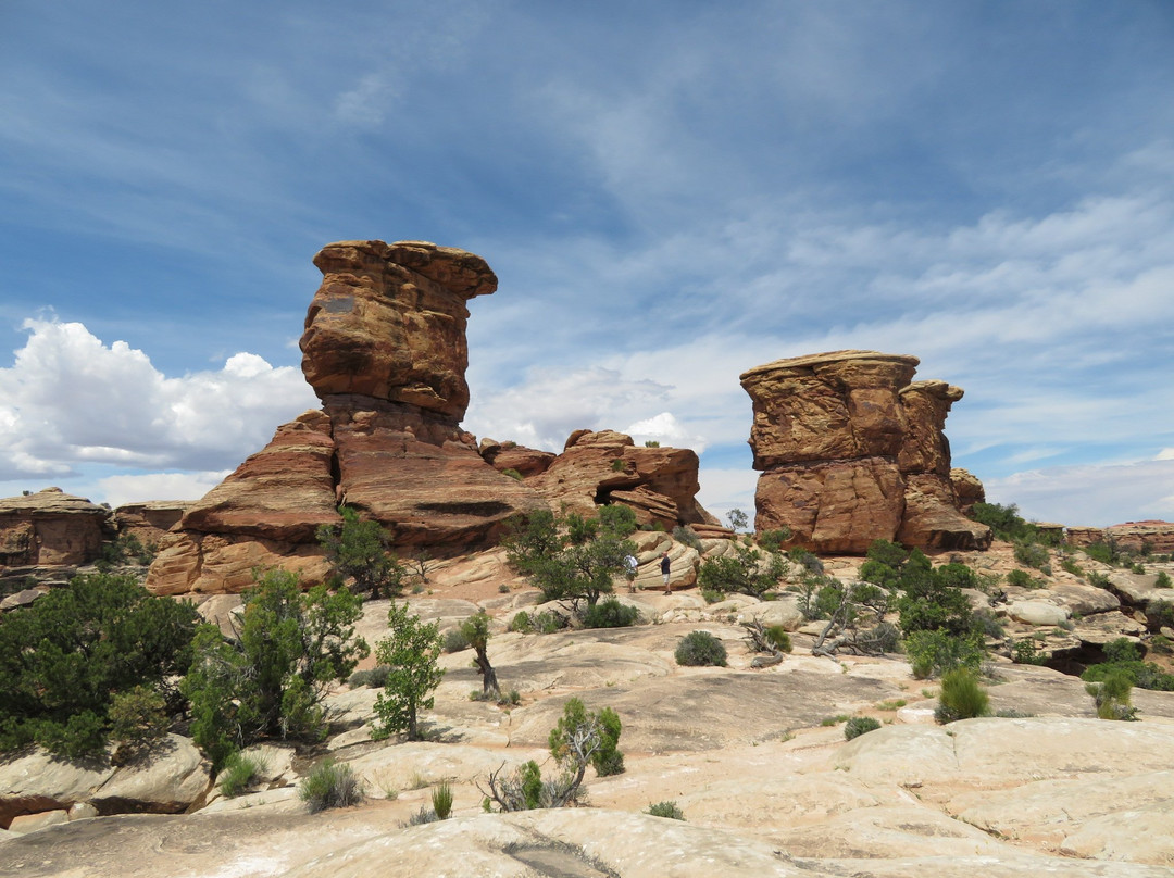 Big Spring Canyon Overlook景点图片