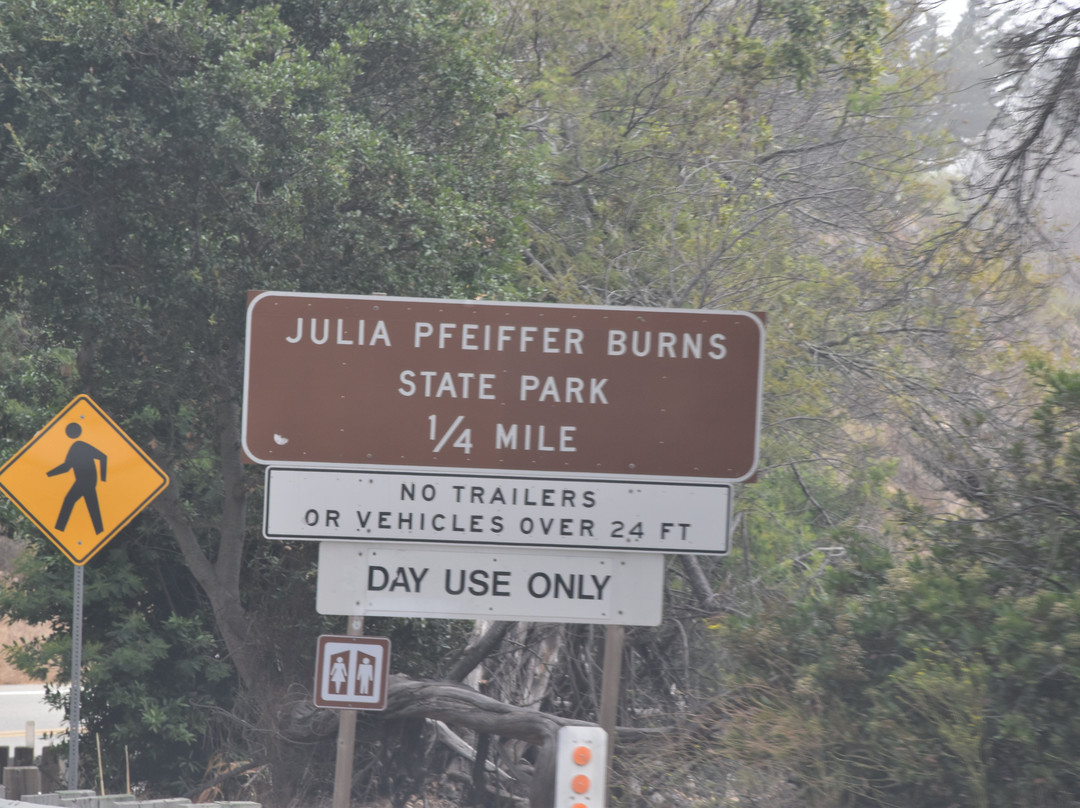 朱莉娅·菲佛·伯恩斯州立公园景点图片