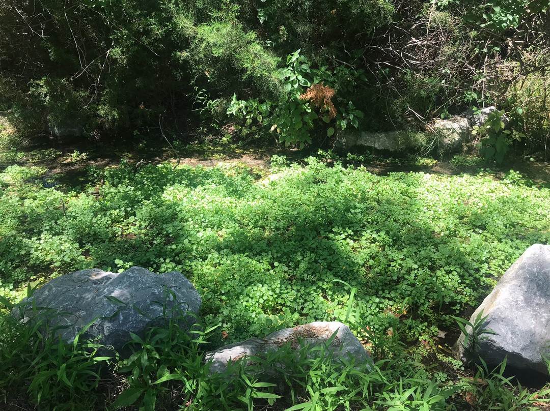Boiling Springs State Park景点图片