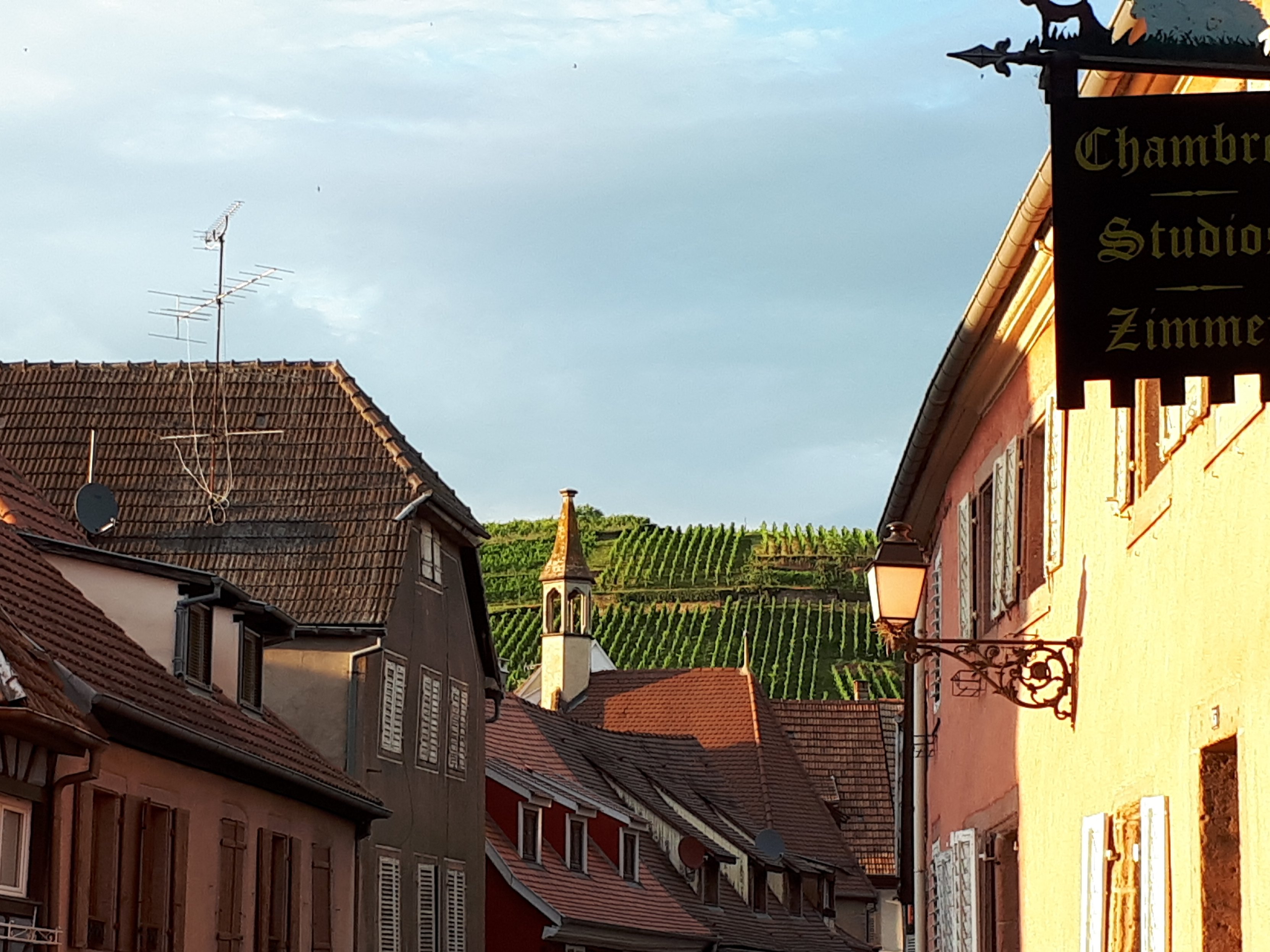 Gite Meyer-Liss-官方