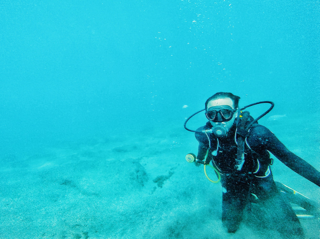 Diving Atlantis Tenerife-洛斯克里斯蒂亚诺斯必去景点