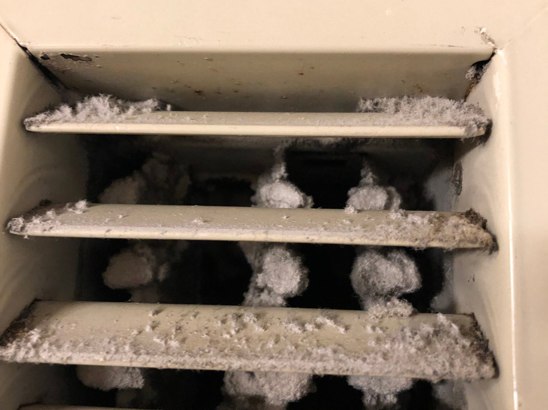 Best Western Plus BWI Airport Hotel - Arundel Mills主图