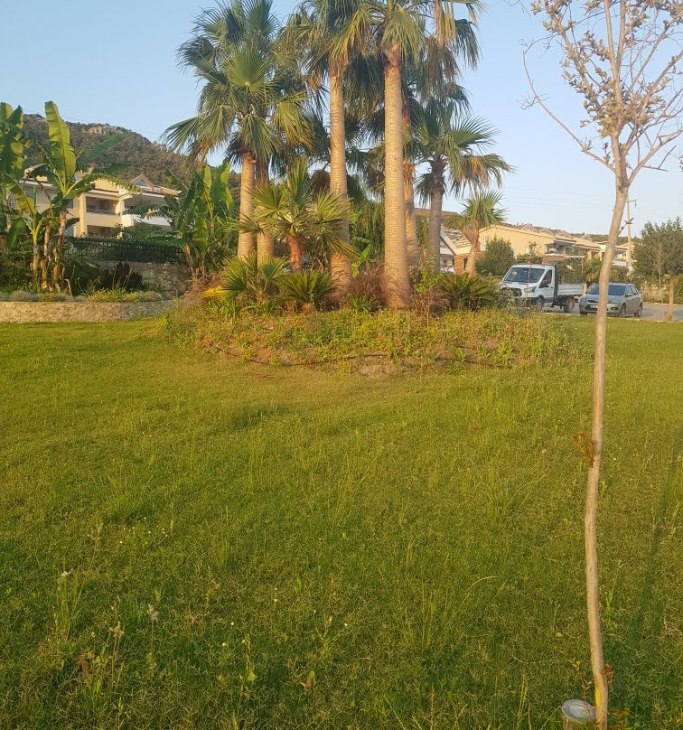 Bozbuk旅游攻略图片