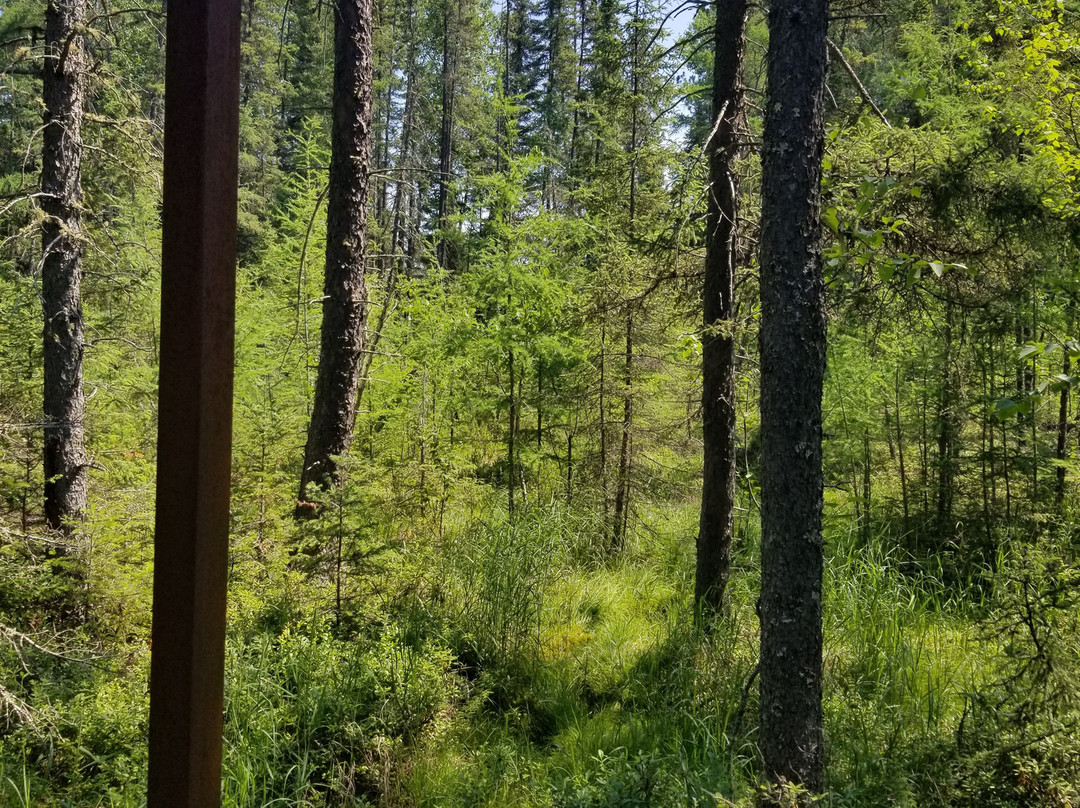 Paul Wellstone Memorial & Historic Site-Eveleth必去景点