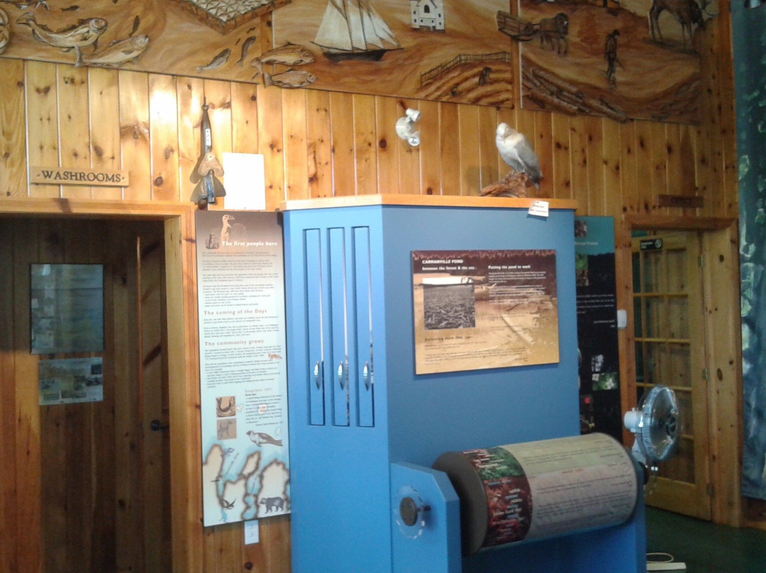 Carmanville Wetlands Interpretation Centre and Nature Trail-Carmanville必去景点